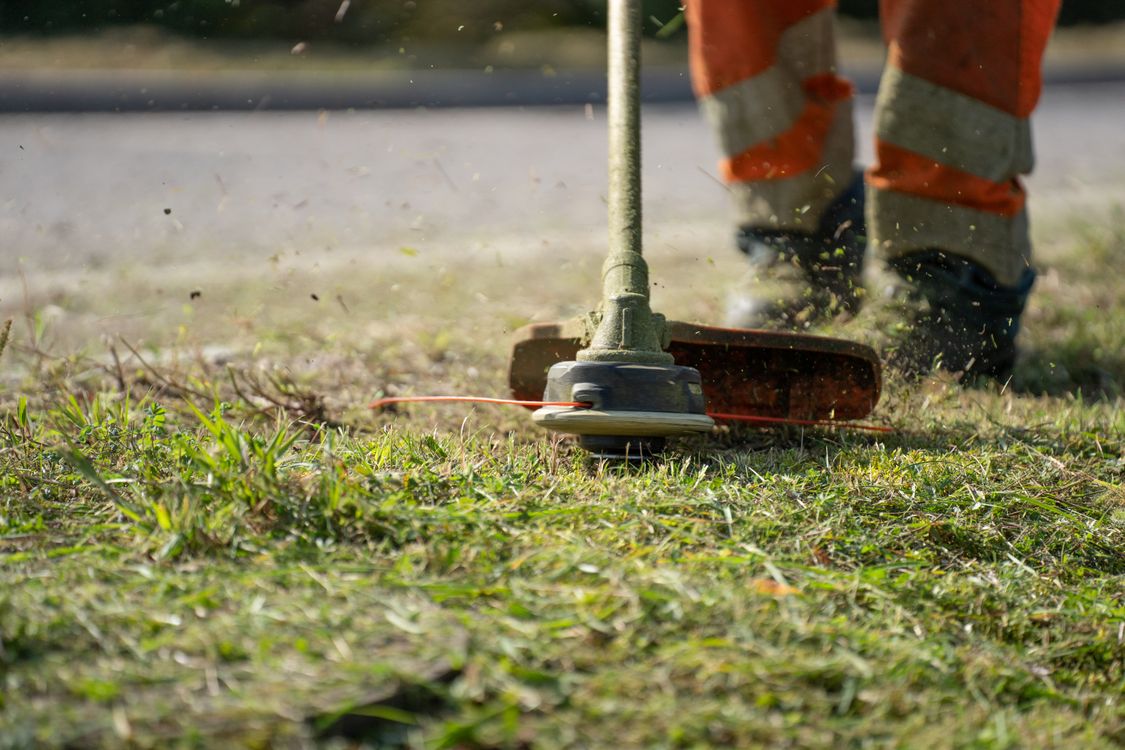 Sample low-angle close-up of a string trimmer working beside pavement