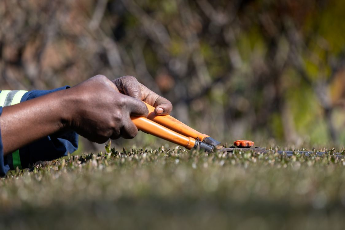 Sample close-up of hedge shears trimming a shrub